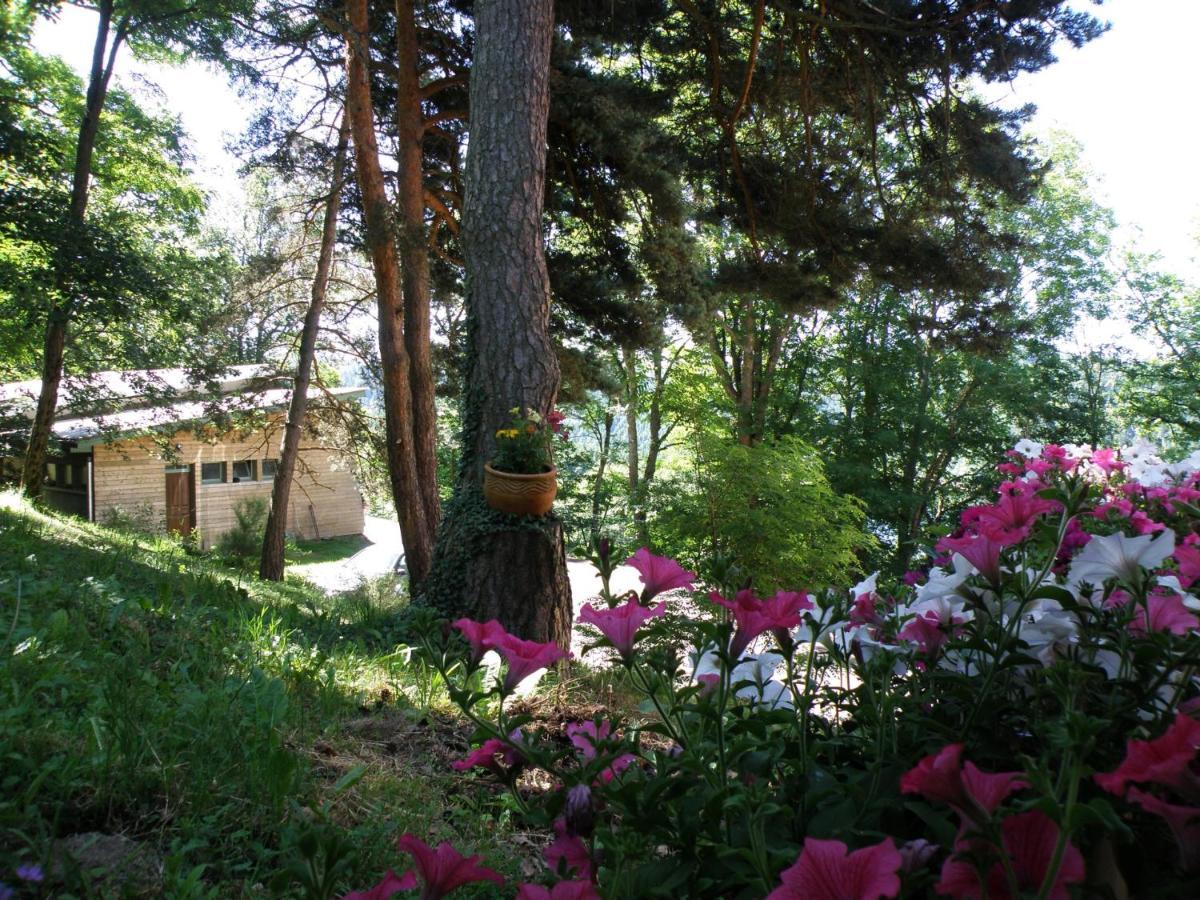 Le Grand Val Bed & Breakfast Lavastrie Luaran gambar